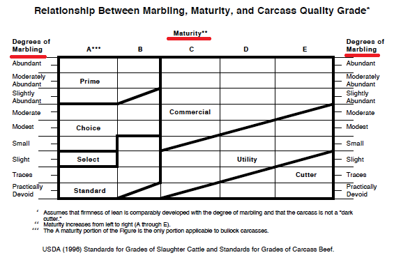 USDA品質等級の判定基準チャート（マーブリングと成熟度の関係）